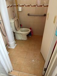 Blk 176 Boon Lay Green (Jurong West), HDB 3 Rooms #478762951